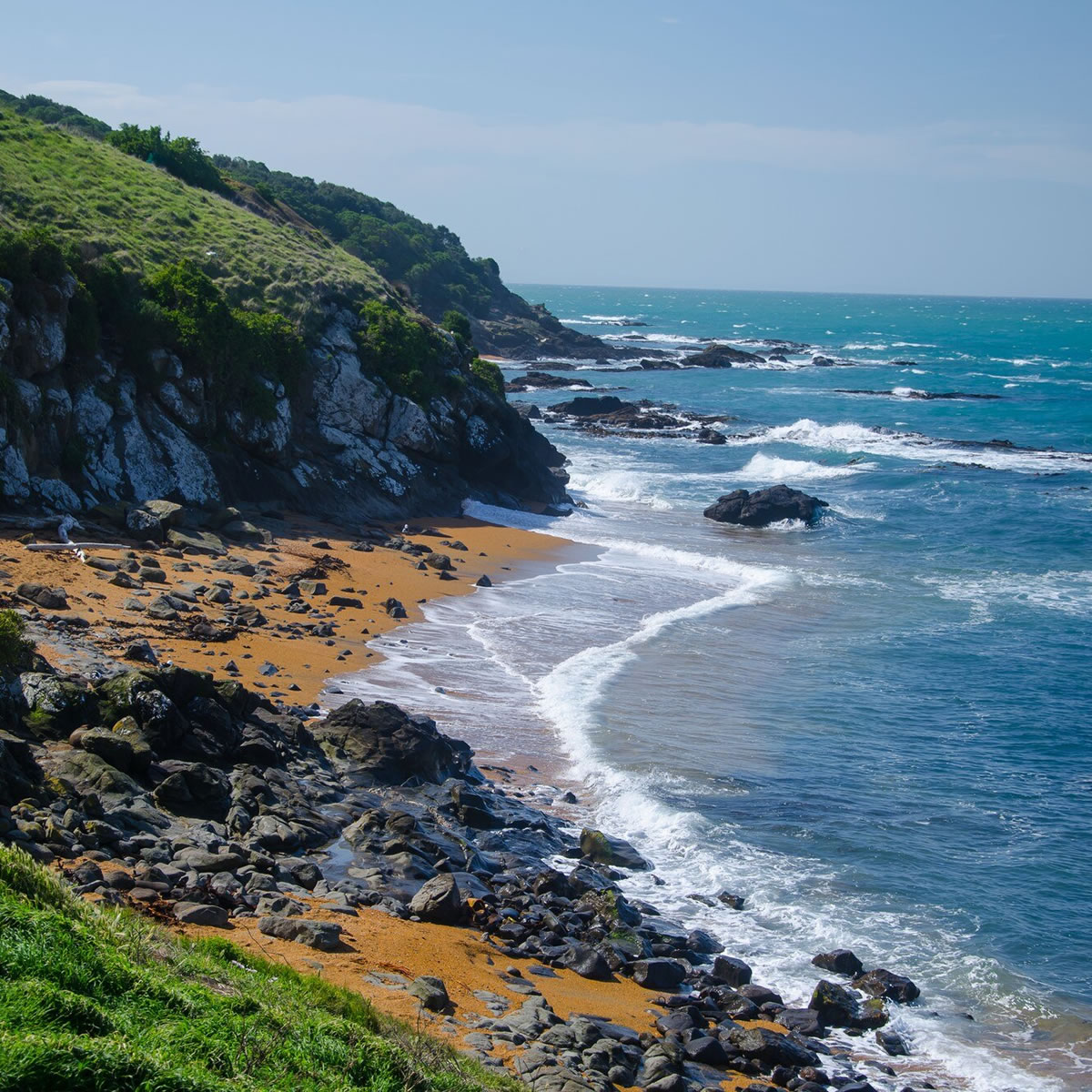 costal-banner